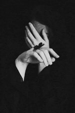 IMG_3565.jpeg